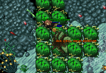 Tanjis Fight.gif