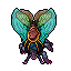Lacewing Moth.gif