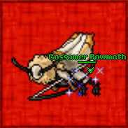 Rp gossamerbowmoth.gif