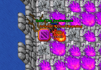 Elementalist addons outfit quest3.gif