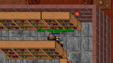 Demons bookshelf.gif