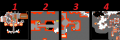 Thumbnail for version as of 20:24, 20 January 2026