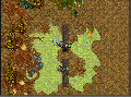 Thumbnail for version as of 12:52, 25 March 2025