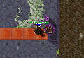 Thumbnail for version as of 13:42, 23 January 2026